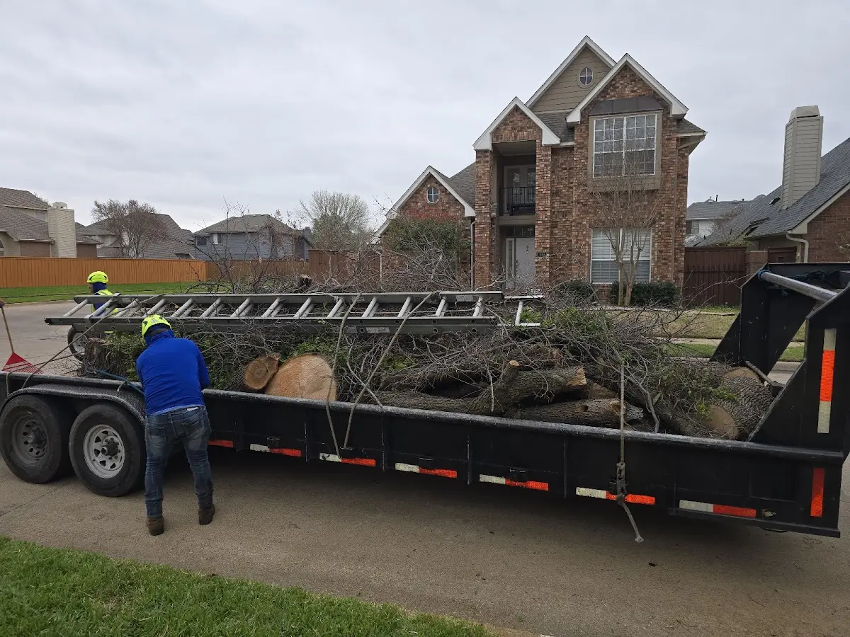 Expert Tree Removal with proper safety equipment in Leslie